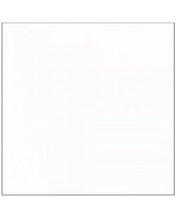 Fond de hârtie Visico - Arctic White, 2.7x11m, alb	