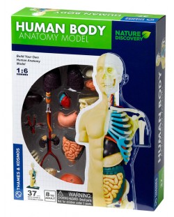 Set pentru copii Kosmos - Anatomia corpului uman
