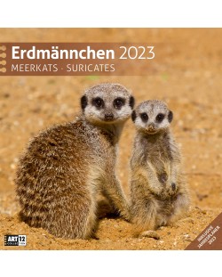 Calendar  Ackermann - Meerkats, 2023