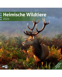 Calendar Ackermann - Animale sălbatice din Germania, 2024