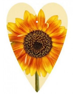 Felicitare Gespaensterwald - Tag, Floarea Soarelui