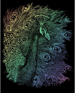 Set de gravură Royal Rainbow - Peacock, 20 x 25 cm 