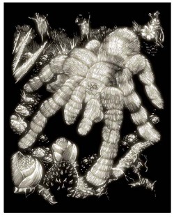 Set de gravură Royal - Tarantulă, 20 x 25 cm
