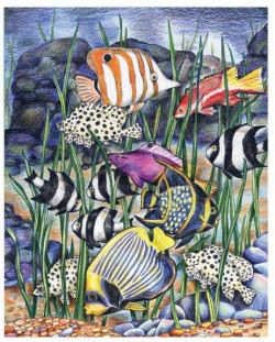 Set de desen cu creioane colorate Royal - Pești tropicali, 22 x 30 cm