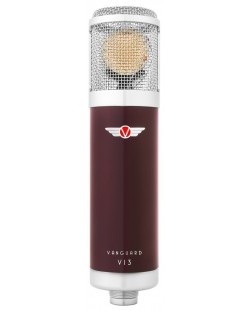 Set de microfon cu accesorii Vanguard - V13, roșu/argintiu