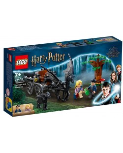 Constructor Lego Harry Potter - Hogwarts: trasura si Testrali (76400)