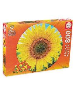 Puzzle rotund Educa din 800 de piese - Floarea Soarelui