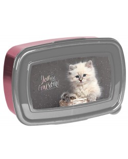 Cutie pentru mâncare Paso Cat - Varianta 1