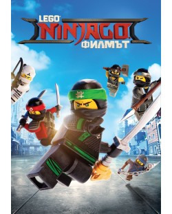 The LEGO Ninjago Movie (DVD)