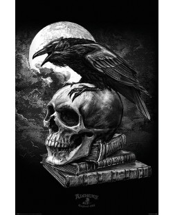 Poster maxi Pyramid - Alchemy (Poe's Raven)