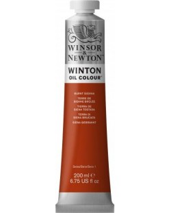 Vopsea de ulei Winsor & Newton Winton - Siena Roast, 200 ml