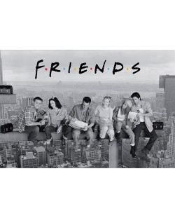 Maxi poster ABYstyle Television: Friends - Friends