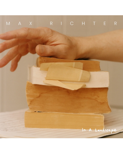 Max Richter - In A Landscape (2 Vinyl)