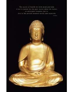 Poster maxi Pyramid - Buddha