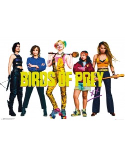 Poster maxi GB eye - Birds of Prey: All Birds