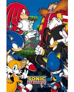 Maxi poster ABYstyle Games: Sonic The Hedgehog - Group