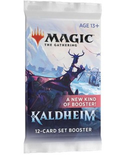Magic the Gathering - Kaldheim Set Booster	