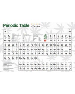 Poster maxi Pyramid - Periodic Table Cannabis