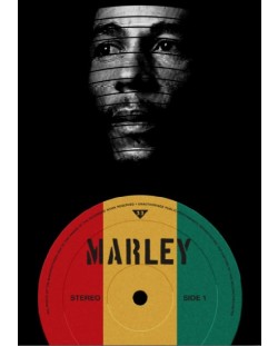 Poster metalic Displate - Marley
