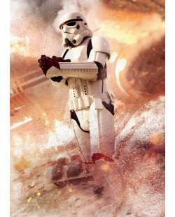 Poster metalic Displate - Stormtrooper