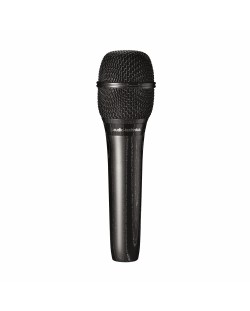 Microfon Audio-Technica - AT2010, negru