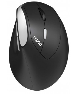 Mouse Rapoo - EV250, optic, fără fir, negru/argintiu