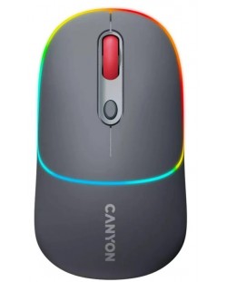 Mouse Canyon - MW-22, optic, wireless, Dark grey