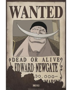 Mini poster  GB eye Animation: One Piece - Wanted Whitebeard	