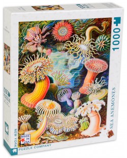 Puzzle New York Puzzle de 1000 piese - Anemone ne mare