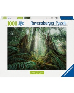 Puzzle Ravensburger  din 1000 de piese  - Pădure fermecătoare