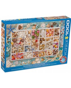 Puzzle Eurographics de 1000 piese - Seashell Collection