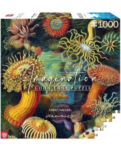 Puzzle Good Loot din 1000 de piese - Ernst Haeckel: Creaturi marine