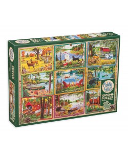 Puzzle Cobble Hill din 1000 piese - Cărți poștale de pe lac 