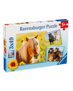 Puzzle Ravensburger de 3 x 49 piese - Cai frumosi