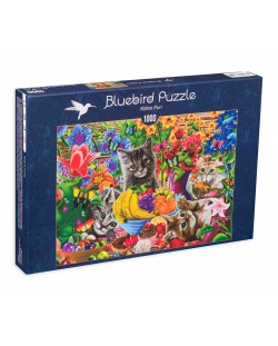 Puzzle Bluebird de 1000 piese - Distactie cu pisoi