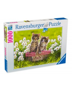 Puzzle Ravensburger de 1000 piese - Picnic in lunca