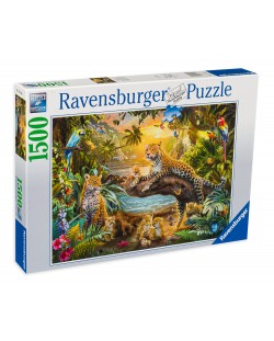 Puzzle Ravensburger din 1500 de piese - Leoparzi în junglă