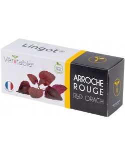 Umplutură sol Veritable - Lingot, Spanac roșu francez, fără OMG