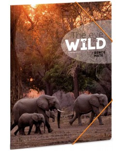 Dosar cu bandă elastică Ars Una The Eyes of the Wild A4 - Un elefant