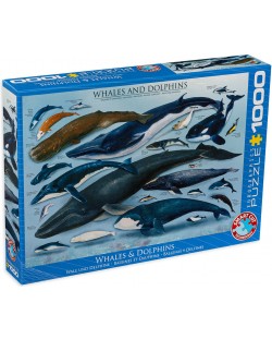 Puzzle Eurographics de 1000 piese – Balene si delfini