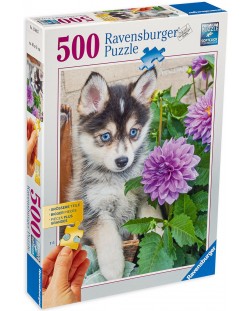 Puzzle Ravensburger de 500 piese - Husky