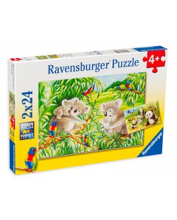 Puzzle Ravensburger 2 de cate 24 piese - Koale si panda