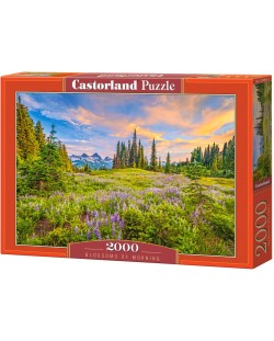 Puzzle Castorland din 2000 de piese - Culorile dimineții
