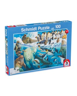 Puzzle Schmidt de 100 piese - Animals Of The Polar Regions
