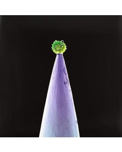Peter Gabriel - New Blood (CD)	
