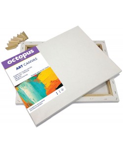 Pânză pentru pictură Universal - Octopus, 40 x 50 cm, cu ramă
