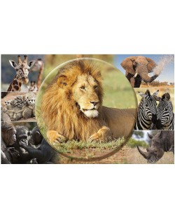 Substrat de birou Herma - Animale africane