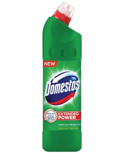 Detergent Domestos - Бор, 750 ml