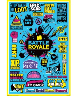 Poster maxi Pyramid - Battle Royale (Infographic)