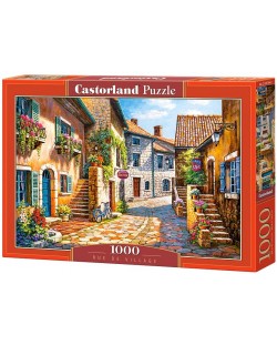Puzzle Castorland de 1000 piese - Satul Rue